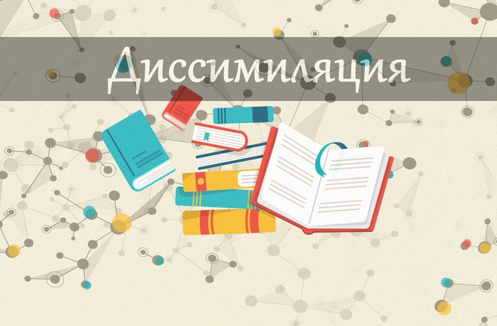 Что такое диссимиляция