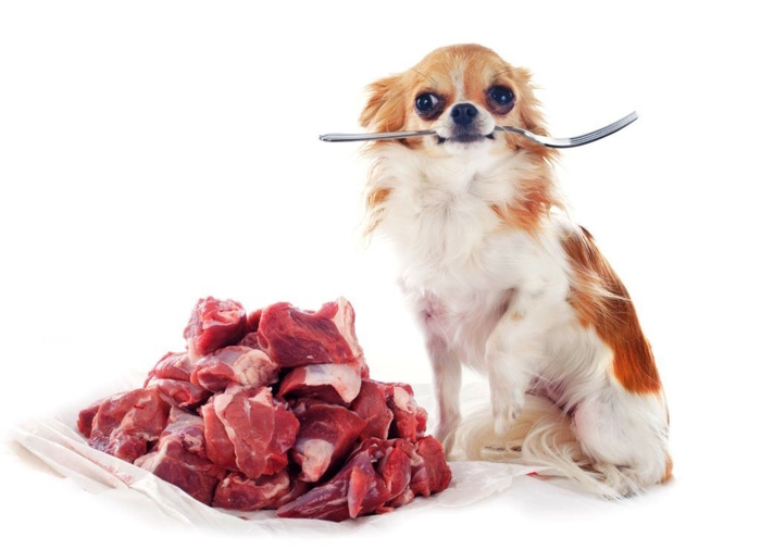 сырое мясо для собак